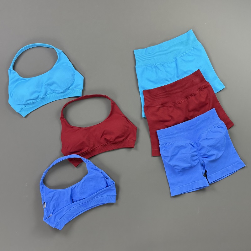 2Pcs Workout Set Women Halter  - огляд і ціна Pilates Yoga Kit